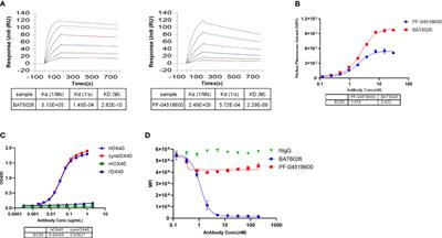 BAT6026, a novel anti-OX40 antibody with enhanced antibody dependent cellular cytotoxicity effect for cancer immunotherapy